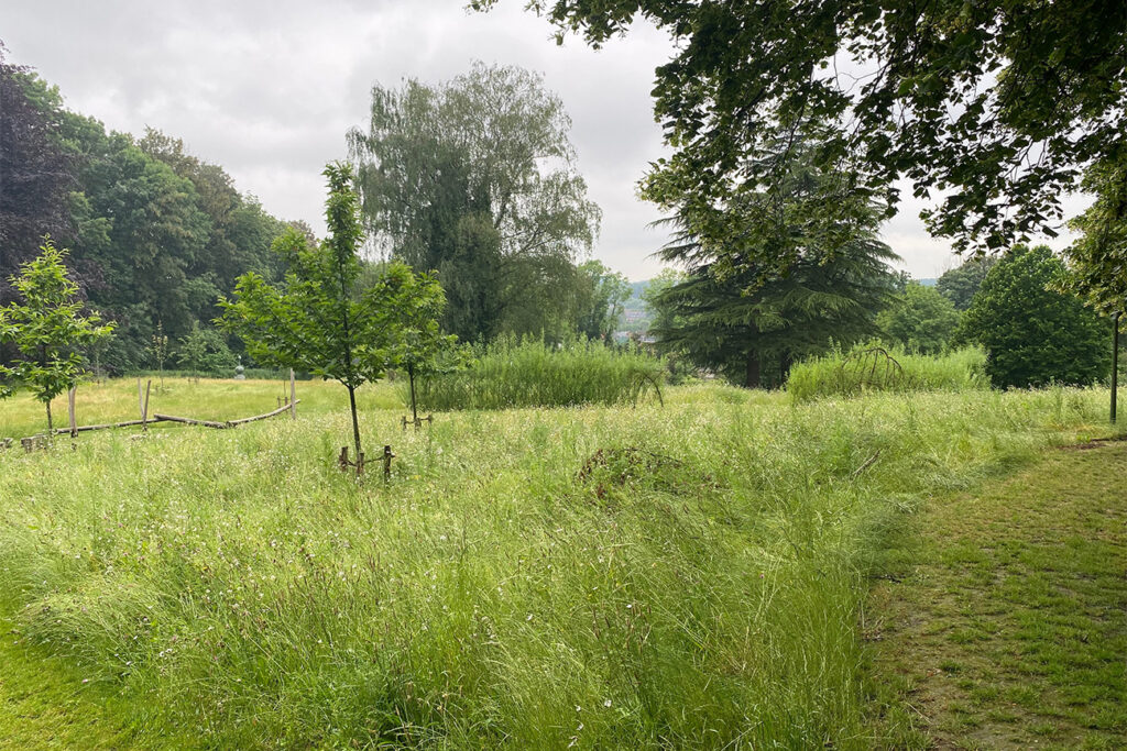 Hoe de Dender mee het groenbeleid van Geraardsbergen bepaalt