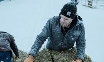 Een dijk van een winterwerkjas 10