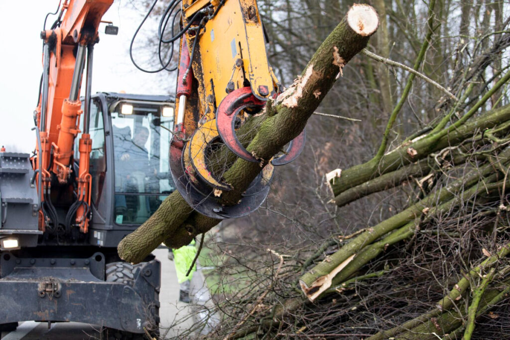 Hakhoutbeheer start langs wegen en waterwegen