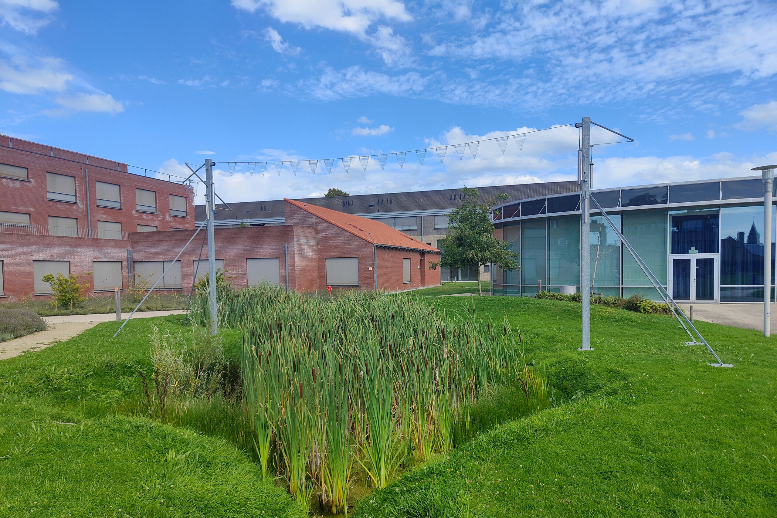 Producent van bodemsubstraten opent nieuwe vestiging in Charleroi 1