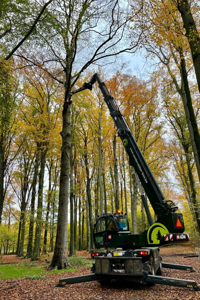 Bomen, biomassa en beter milieu 3