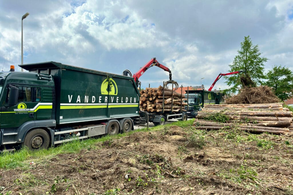 Bomen, biomassa en beter milieu 2
