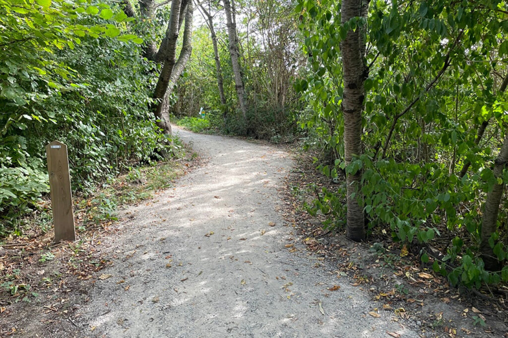 "Natuurlijk mooi en technisch sterk: voetpaden met Koersmix maken het verschil" 2