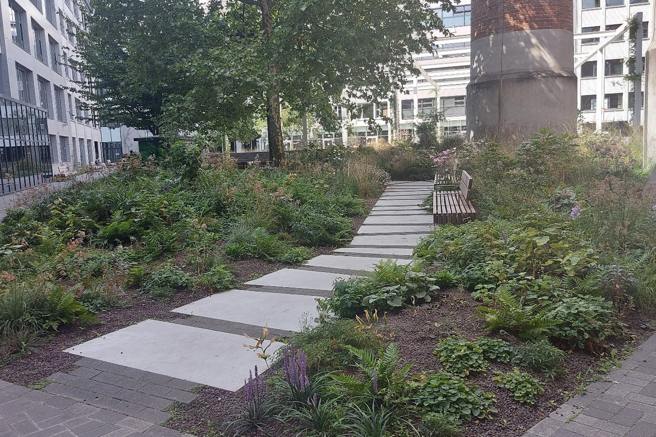 Binnenplein Den Bell ademt groen na circulaire heraanleg 3