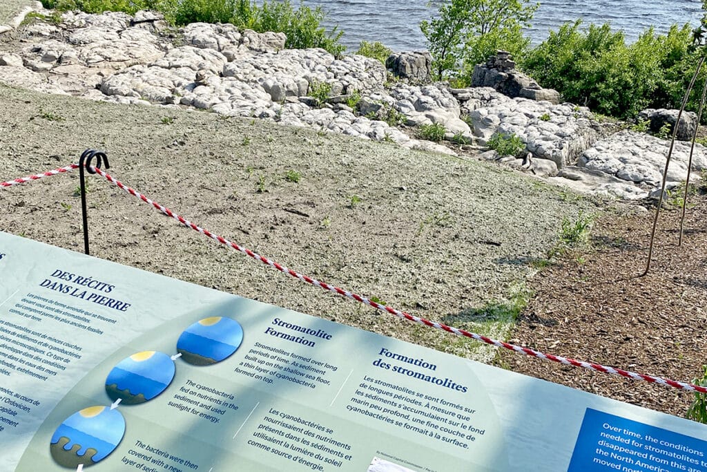 Westboro Beachfront: contextgevoelig ontwerp zet nieuwe maatstaf voor waterfrontontwikkeling in Canada 3