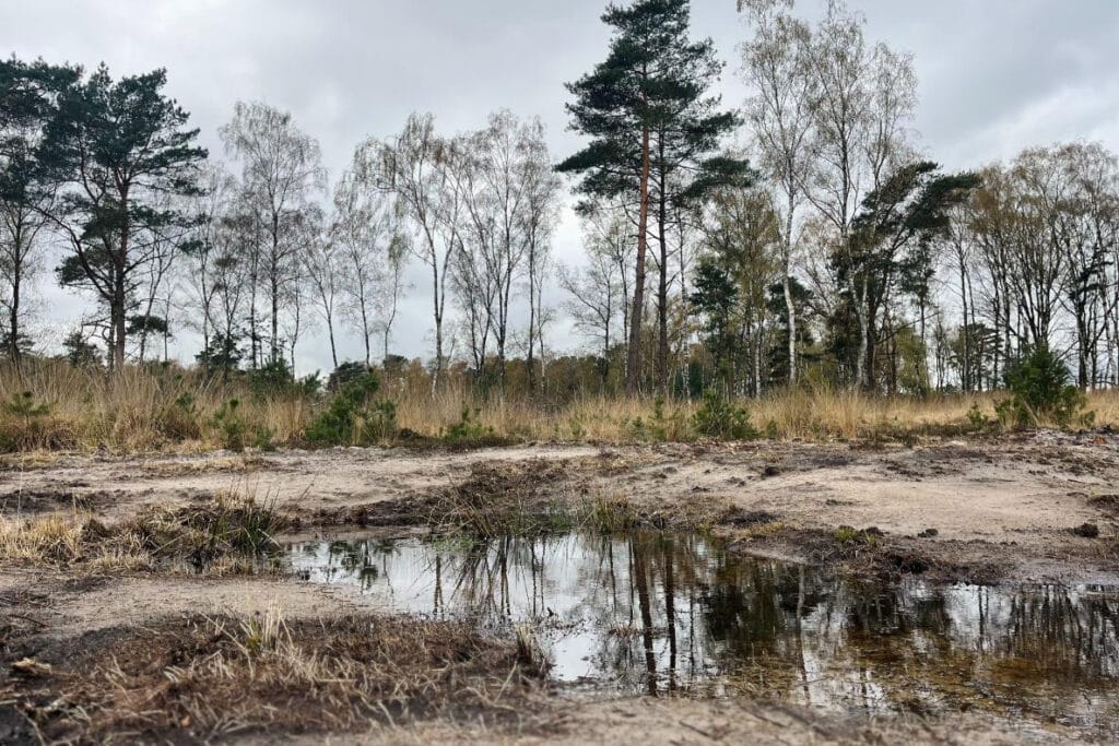 Natuurlijke fosfaatfilter zuivert historisch vervuild grondwater aan Belgisch-Nederlandse grens 1